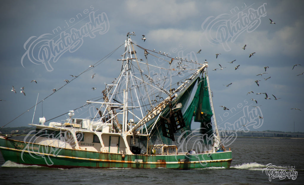 Shrimp Boat